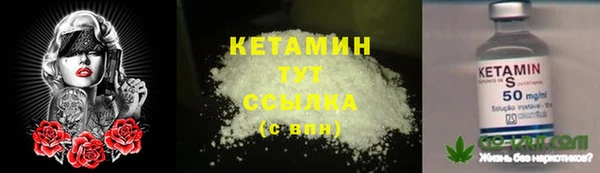 прущие грибы Белоозёрский