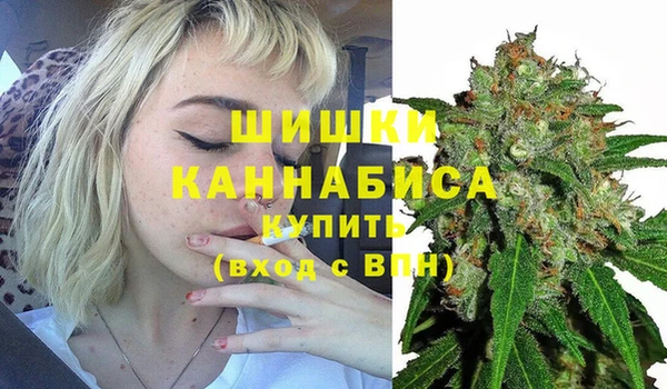 прущие грибы Белоозёрский