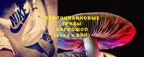дживик Беломорск